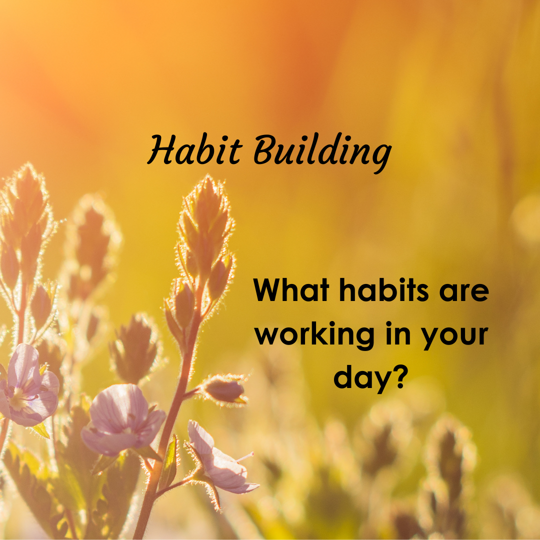 Crafting Daily Habits for a Structured Life